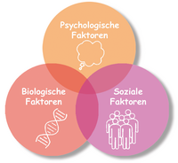 Abbildung des Bio-psycho-sozialen Modells