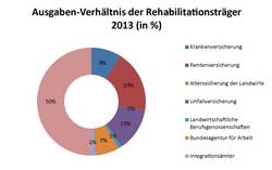 Grafische Darstellung des Ausgaben-Verhältnisses der Rehabilitationsträger 2013 (in %) als Kreisdiagramm