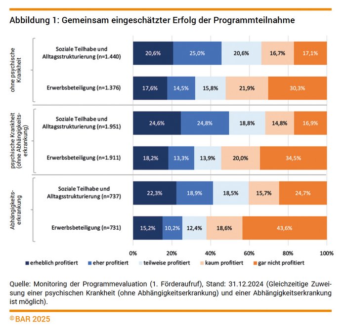 Abbildung 1: Gemeinsam eingeschätzter Erfolg der Programmteilnahme ©BAR 2025 Quelle: Monitoring der Programmevaluation (1. Förderaufruf), Stand: 31.12.2024 (Gleichzeitige Zuweisung einer psychischen Krankheit (ohne Abhängigkeitserkrankung) und einer Abhängigkeitserkrankung ist möglich).