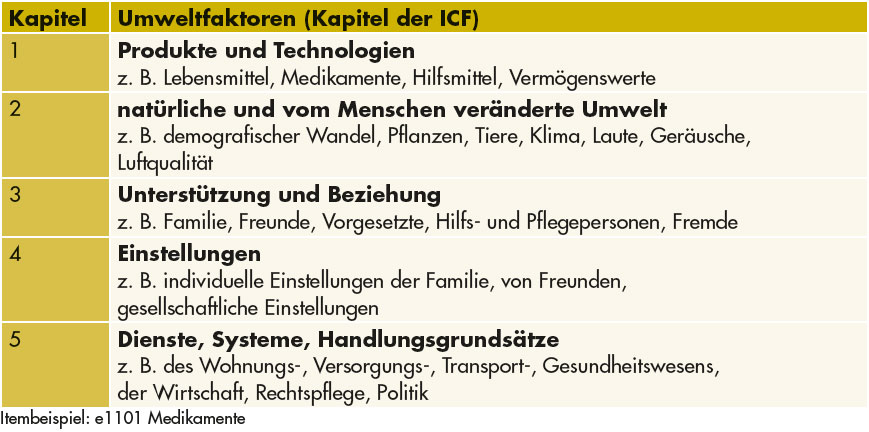 Tabelle 3: Klassifikation der Umweltfaktoren (Kapitelzuordnungen)
